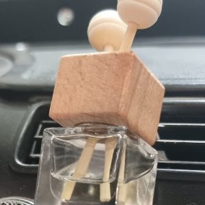 Mini Reed Diffuser with Car Vent Clip